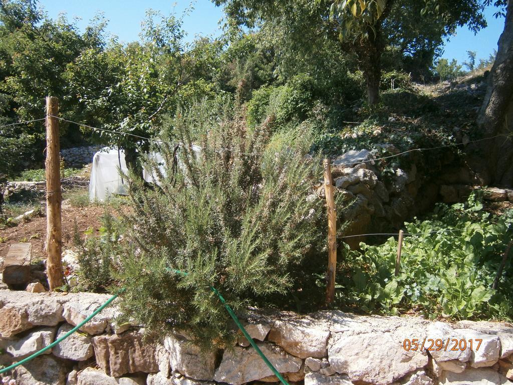 Holiday Home Loznati Крес Екстериор снимка