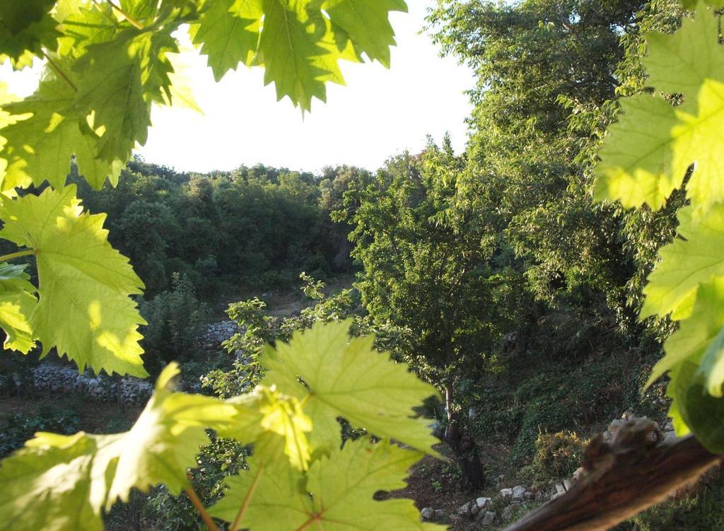 Holiday Home Loznati Крес Екстериор снимка